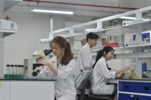 34fd6fab2da0444243b0833a172607e8