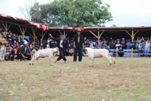 3d9cf4fdbe696bb03f1a52cca86ea4be