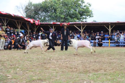 3d9cf4fdbe696bb03f1a52cca86ea4be