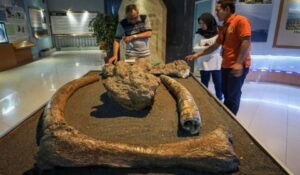 Adb015cd0671e04e309945f3a5ef75d9