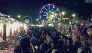 Bf548fba6aa50556c01acd1b55fe715c