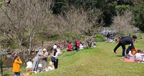 4628332f0f2afcfd14ac36b2f5e2b9b4