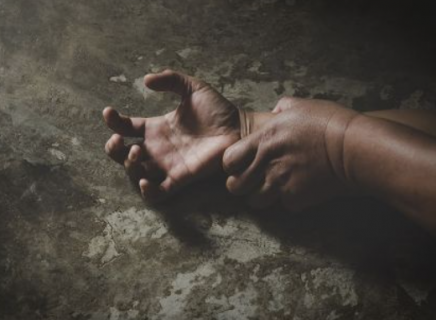 8dd5deee35d227145c3f8959b262fd5e