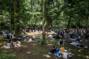 Baa8f930c80338e03287a722ddb74d30